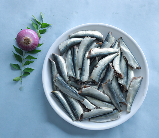 SARDINE CLEANED 600 GM
