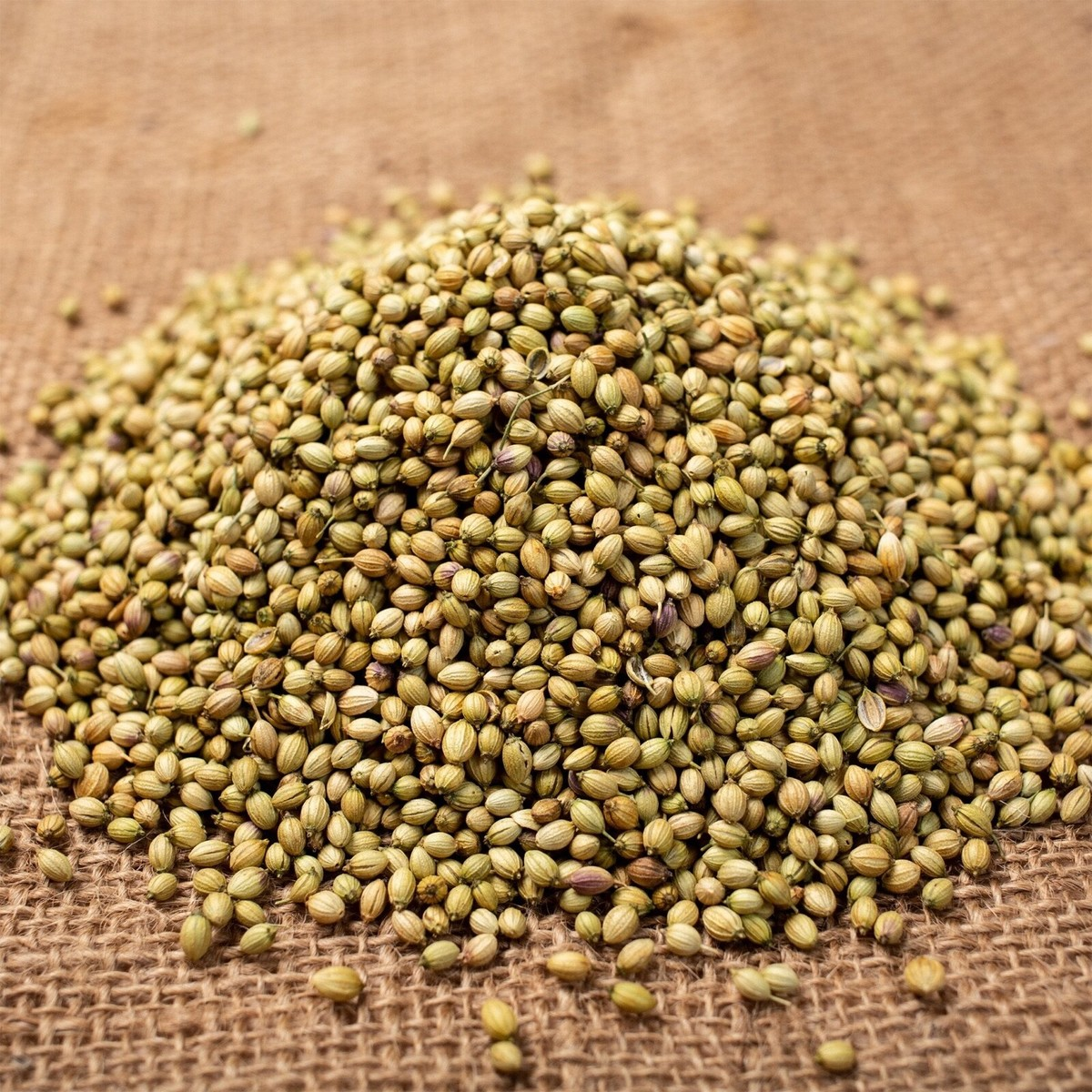 GREEN VALLEY  CORIANDER WHOLE 300 GM